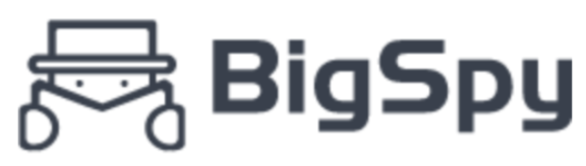 Big Spy logo